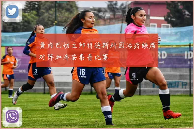 费内巴切主帅特德斯科因治疗缺席对阵加济安泰普比赛