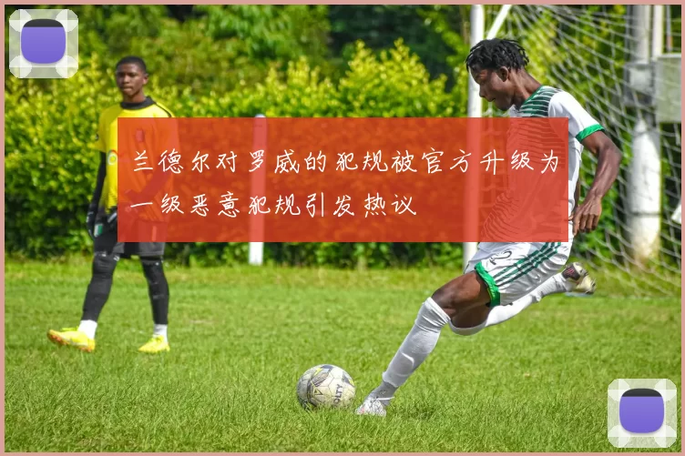 兰德尔对罗威的犯规被官方升级为一级恶意犯规引发热议